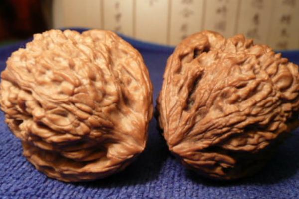麻核桃什么品種最好  核桃的把玩方法