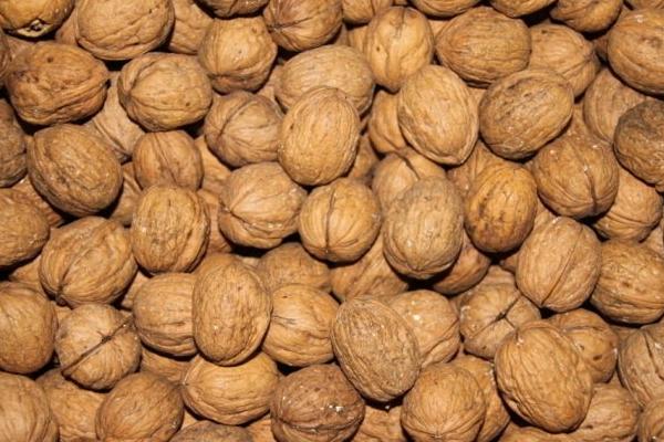 核桃怎么吃最有營養 核桃的正確吃法