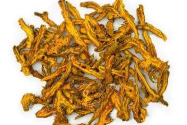 黃連的功效與作用及禁忌