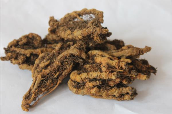 黃連的功效與作用及禁忌