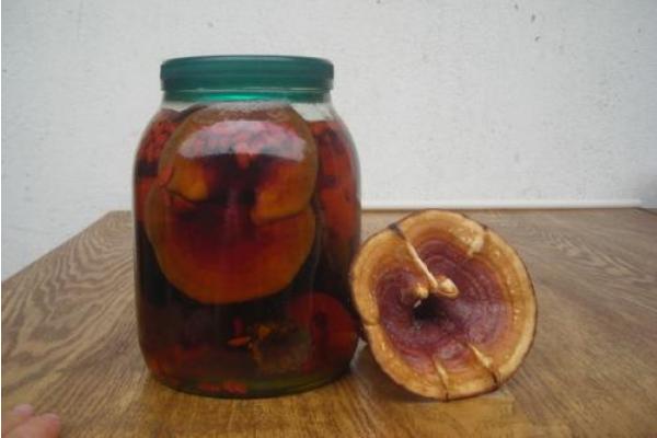 靈芝泡酒功效與作用 靈芝和什么泡酒最好