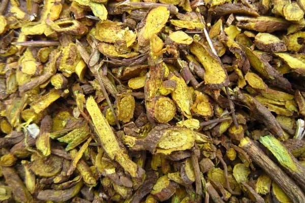 黃芩市場價格多少錢一斤 黃芩有什么作用