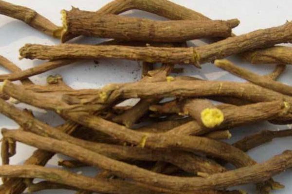 黃芩和黃芪的區(qū)別是什么 黃芩治什么病