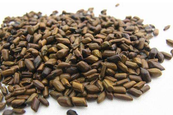 決明子的功效與作用及禁忌 決明子可以吃嗎 決明子怎么吃