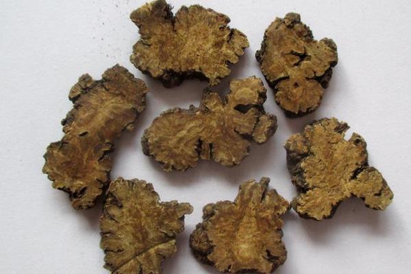 川芎白芷天麻魚頭湯的功效與作用及做法 川芎白芷天麻燉魚頭的禁忌