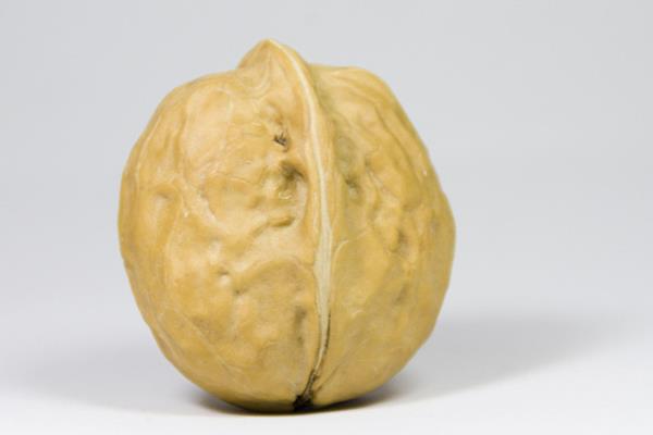 生核桃怎么吃 生核桃和熟核桃哪個好