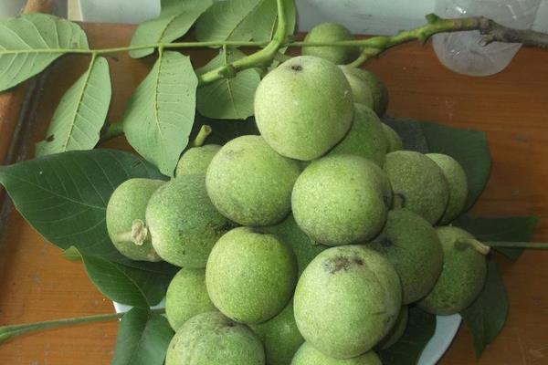 生核桃怎么吃 生核桃和熟核桃哪個好