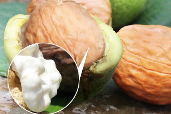 生核桃怎么吃 生核桃和熟核桃哪個好