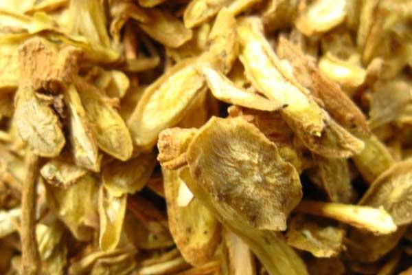 黃芪和黃芩的區(qū)別是什么 黃芩是黃芪嗎