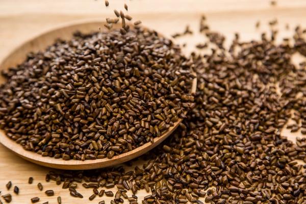 喝決明子茶有什么好處 決明子茶怎么泡 決明子一次泡多少