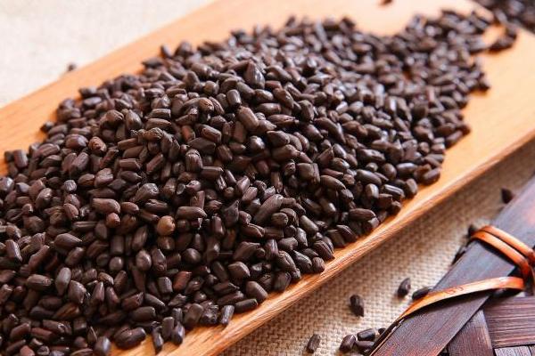 決明子市場價格多少錢一斤 決明子長什么樣