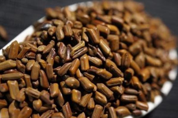 決明子市場價格多少錢一斤 決明子長什么樣