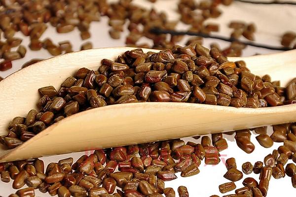 山楂決明子清脂茶功效與作用 山楂決明子清脂茶的做法