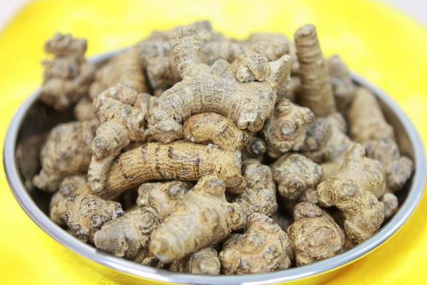 土三七和三七的區別是什么