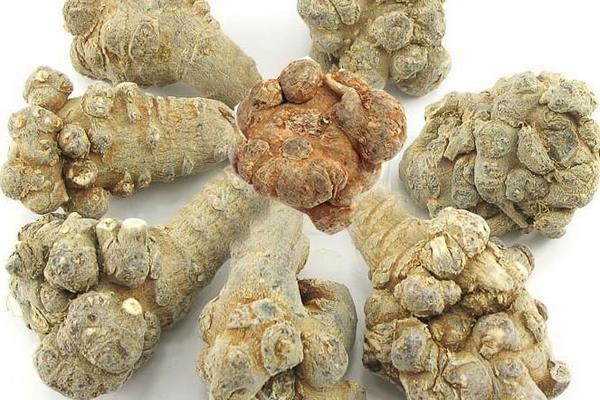 土三七和三七的區別是什么