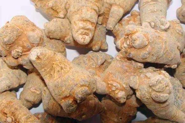 土三七和三七的區別是什么