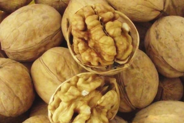 紙皮核桃市場價格多少錢一斤