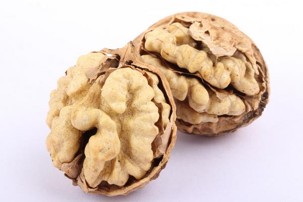 紙皮核桃市場價格多少錢一斤