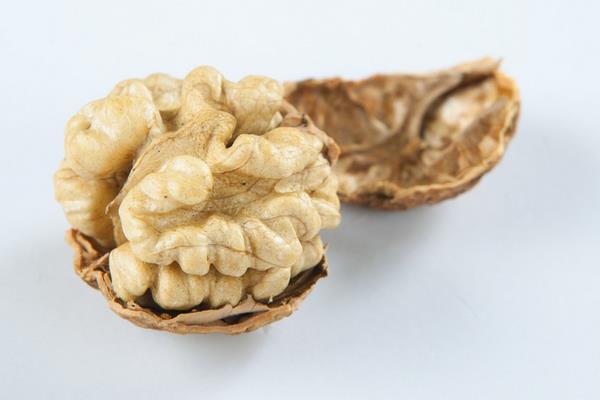 紙皮核桃市場價格多少錢一斤