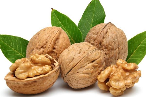 核桃的功效與作用及禁忌 核桃營養(yǎng)價值