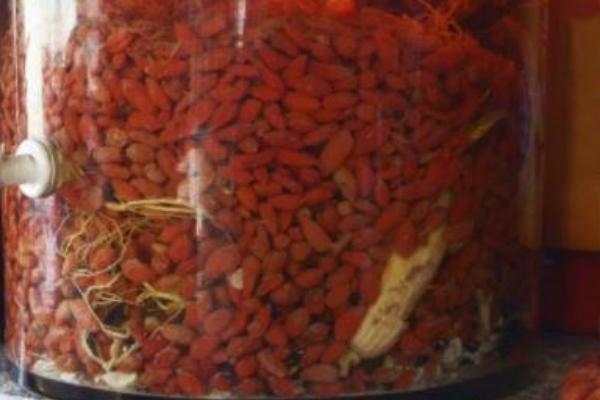 黑枸杞可以泡酒嗎 黑枸杞泡酒的功效與作用