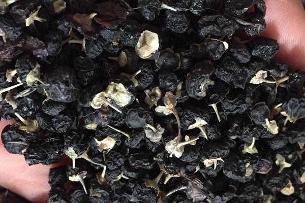 黑枸杞子市場價格多少錢一斤