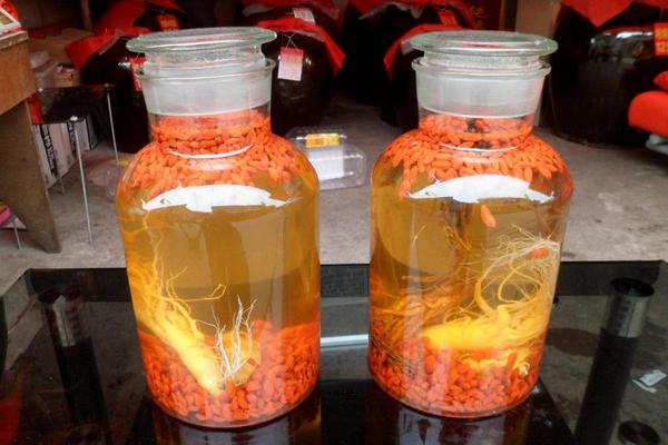 人參鹿茸枸杞泡酒功效與作用