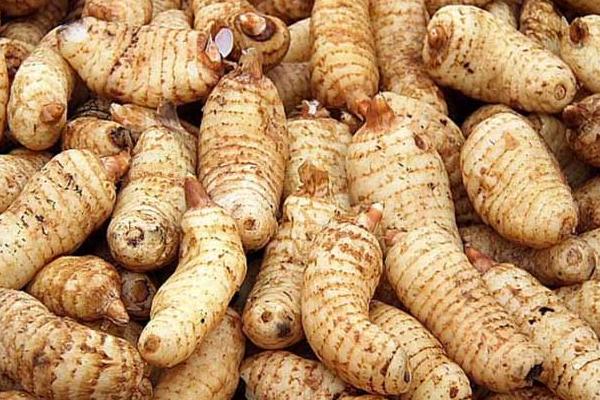 天麻燉豬腦做法大全 天麻燉豬腦怎么做好吃