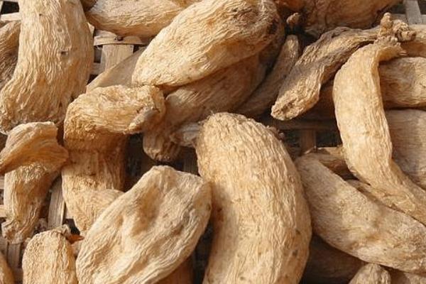 天麻燉豬腦做法大全 天麻燉豬腦怎么做好吃