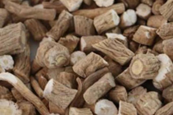 板藍根可以降火嗎