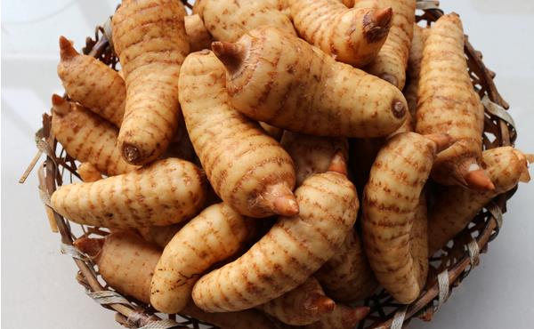 新鮮天麻怎么吃 新鮮天麻怎么做好吃