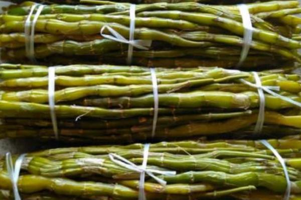 金釵石斛市場價格多少錢一斤