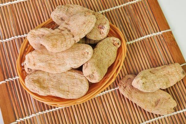 天麻圖片大全 天麻簡介