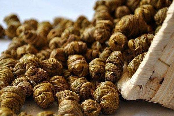 什么人不適合吃石斛 石斛禁忌