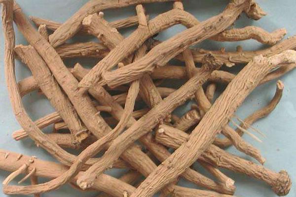 板藍(lán)根的種子市場(chǎng)價(jià)格多少錢一斤