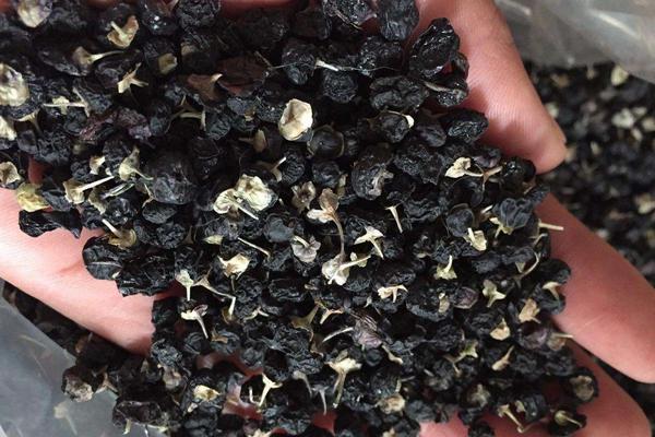 黑枸杞市場價格多少錢一斤