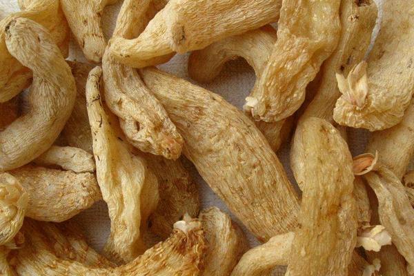 天麻能治失眠嗎