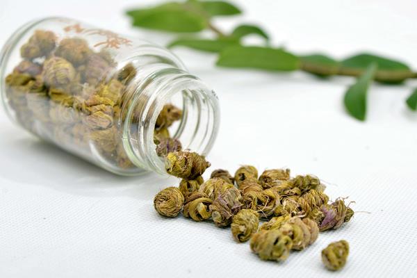 如何挑選鐵皮石斛 鐵皮石斛鑒別方法