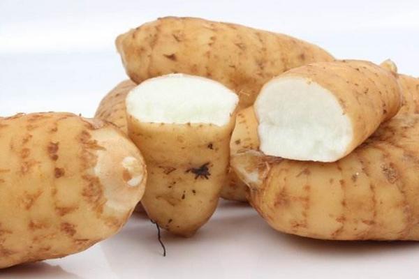 天麻生長在什么地方 天麻什么時候收獲