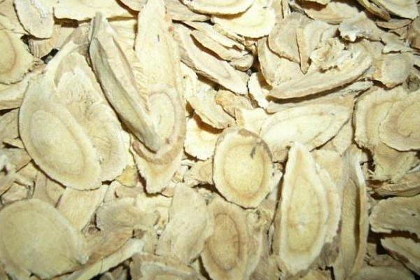 黃芪市場價格多少錢一斤