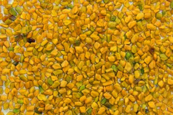 金銀花的栽培技術 金銀花種子怎么種