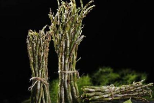 鐵皮石斛市場(chǎng)價(jià)格多少錢(qián)一斤