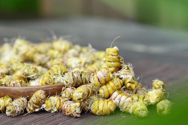 鐵皮石斛市場價格多少錢一斤