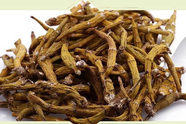 干石斛怎么吃最好 鮮石斛怎么吃最好