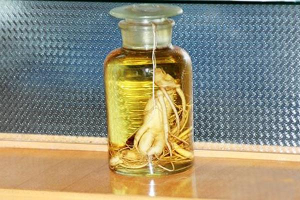 西洋參泡酒喝的功效與作用 西洋參泡酒的做法步驟