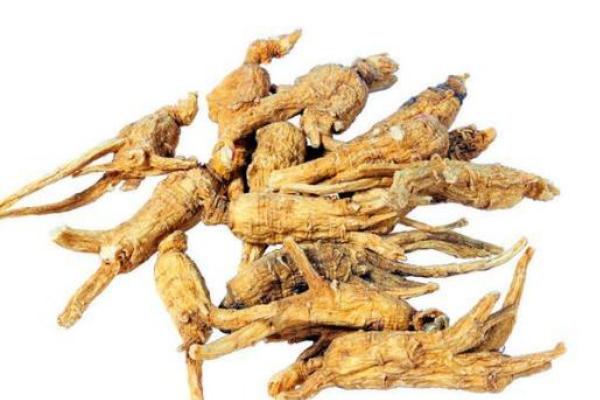 西洋參小孩可以吃嗎 西洋參適合什么人群