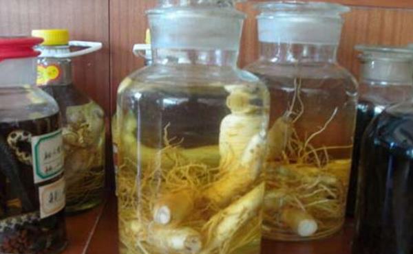 西洋參泡酒喝的功效與作用 西洋參泡酒的做法步驟