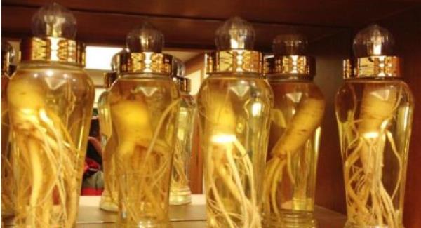 西洋參泡酒喝的功效與作用 西洋參泡酒的做法步驟