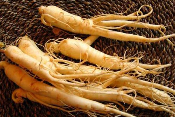 西洋參和人參的區別是什么