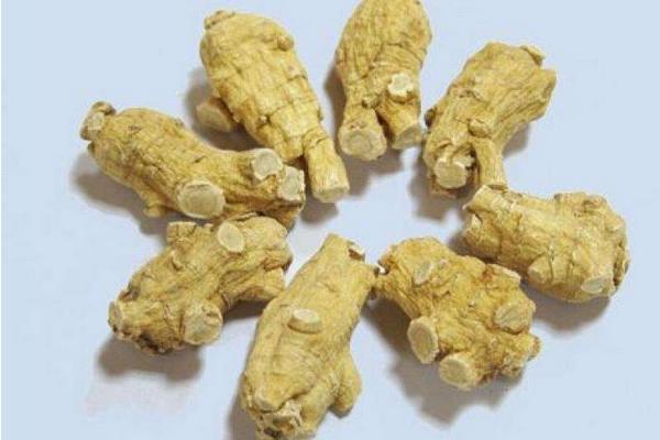 西洋參哪些人不宜吃 西洋參食用禁忌